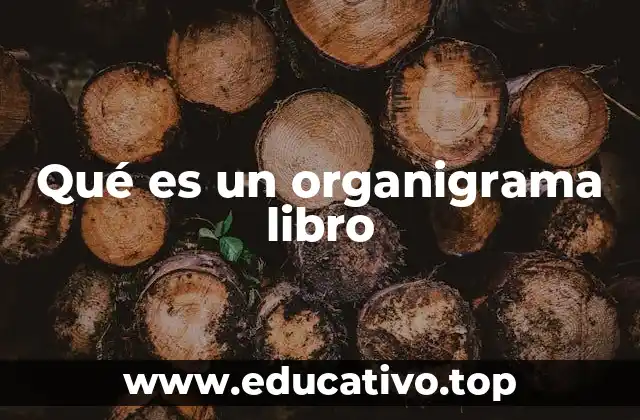 Cómo se diferencia un organigrama libro de un organigrama tradicional