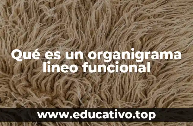 Qué es un organigrama lineo funcional