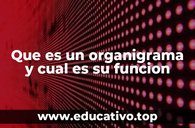Que es un organigrama y cual es su funcion