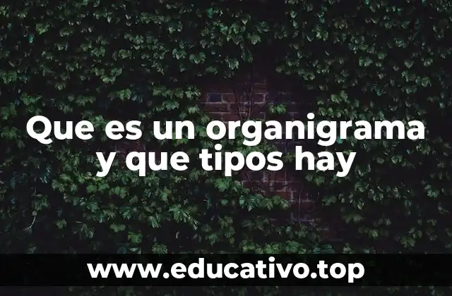 Que es un organigrama y que tipos hay