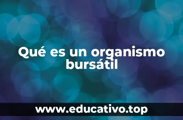 Qué es un organismo bursátil