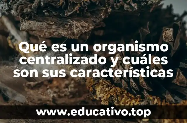 Características principales de los organismos centralizados