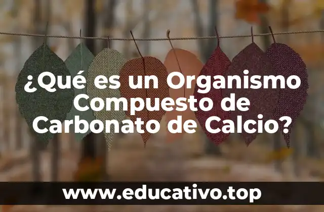¿Qué es un Organismo Compuesto de Carbonato de Calcio?