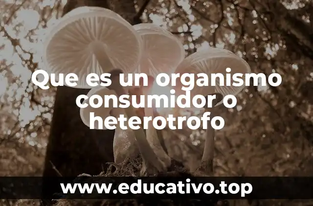 Que es un organismo consumidor o heterotrofo