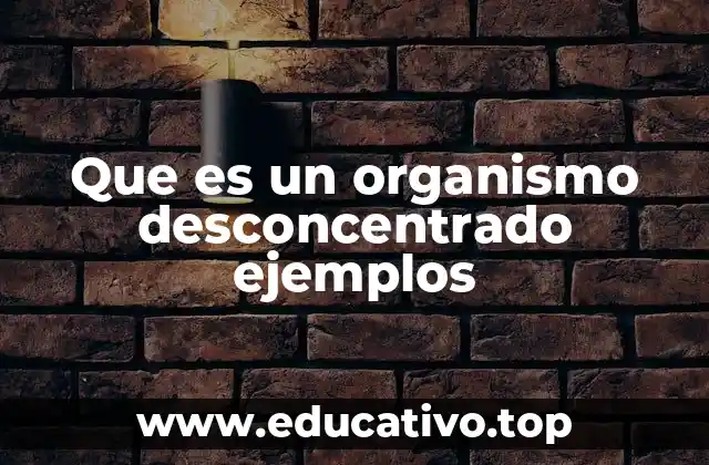 Que es un organismo desconcentrado ejemplos