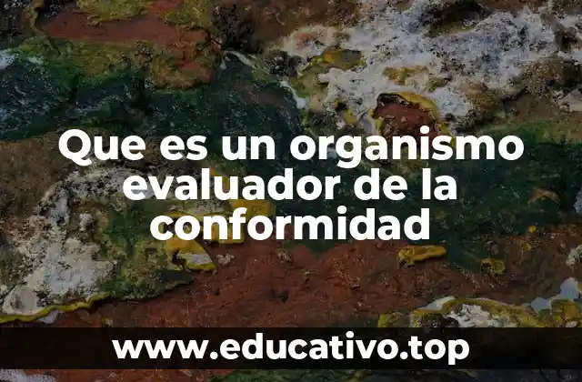 Que es un organismo evaluador de la conformidad