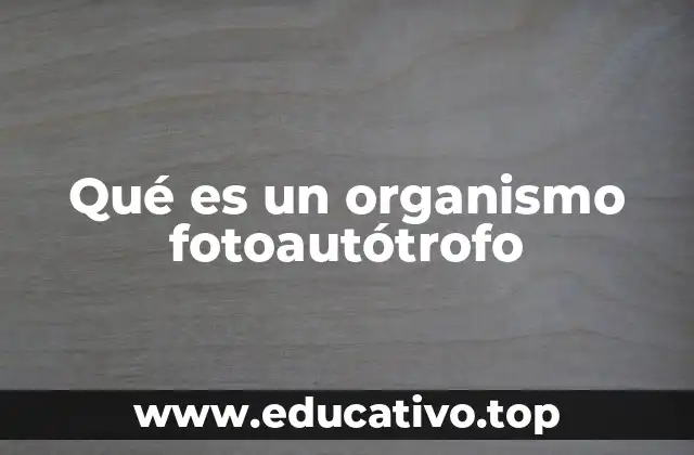 Qué es un organismo fotoautótrofo