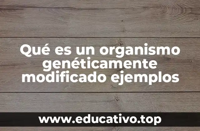 La ciencia detrás de los organismos transgénicos