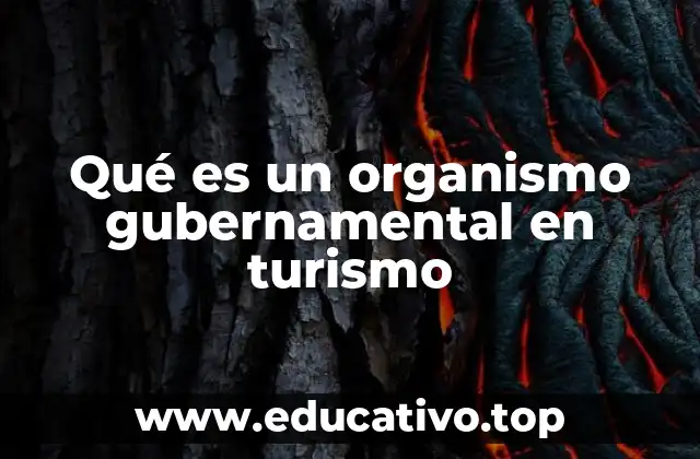 Qué es un organismo gubernamental en turismo