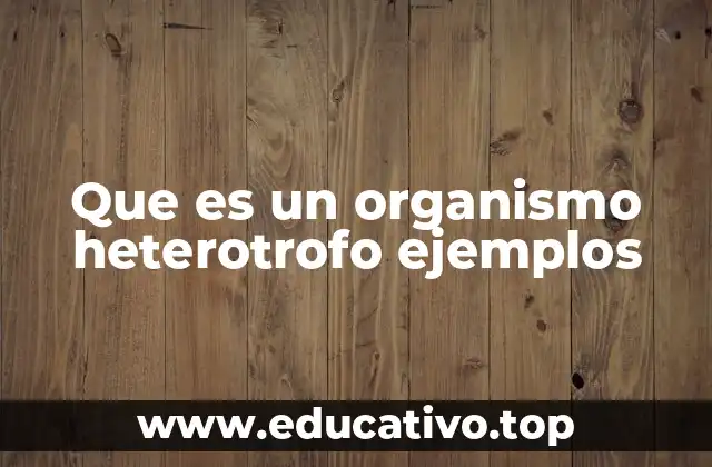 Que es un organismo heterotrofo ejemplos