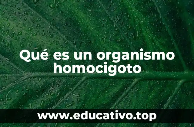 Qué es un organismo homocigoto