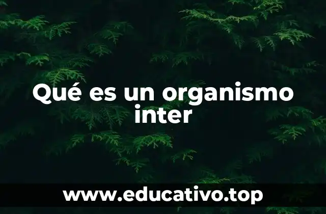 Qué es un organismo inter