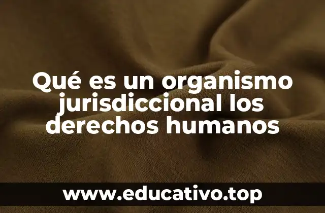 Qué es un organismo jurisdiccional los derechos humanos