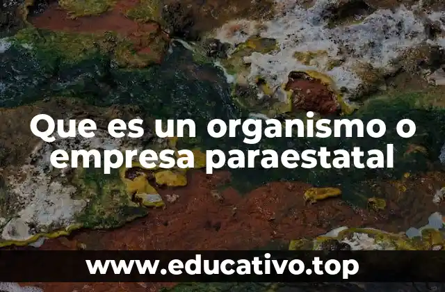 Que es un organismo o empresa paraestatal