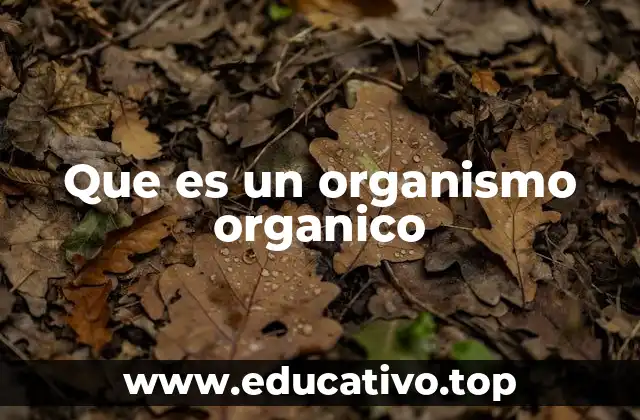 Los cimientos de la vida: compuestos orgánicos y su papel en la biología