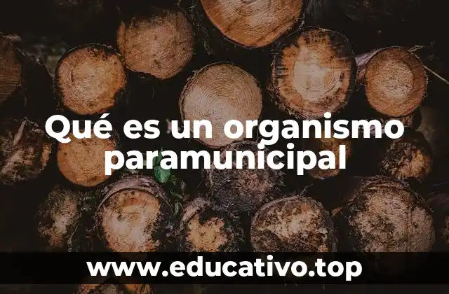 Qué es un organismo paramunicipal