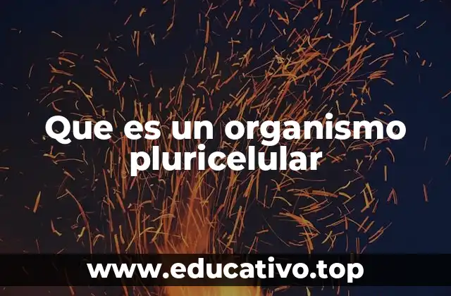 Que es un organismo pluricelular