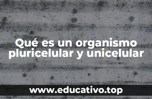 Qué es un organismo pluricelular y unicelular