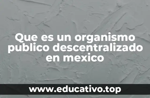 Que es un organismo publico descentralizado en mexico