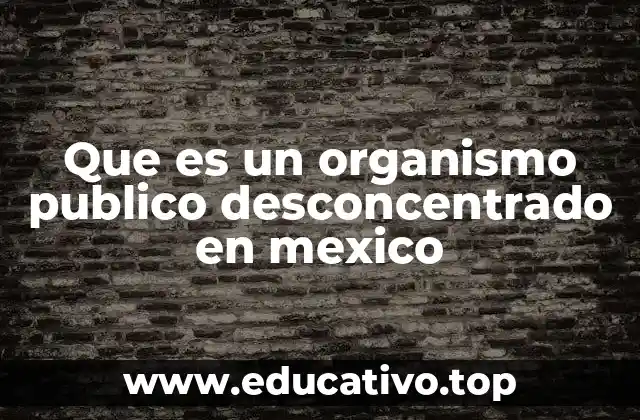 Que es un organismo publico desconcentrado en mexico