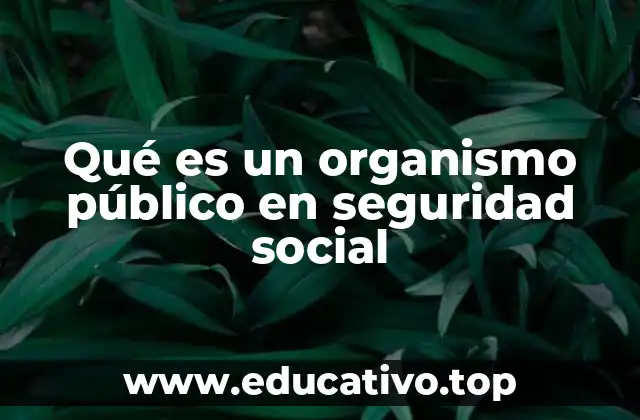 Qué es un organismo público en seguridad social