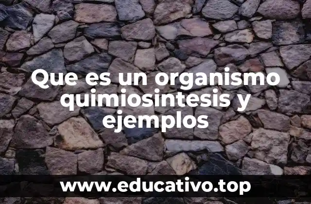 Que es un organismo quimiosintesis y ejemplos