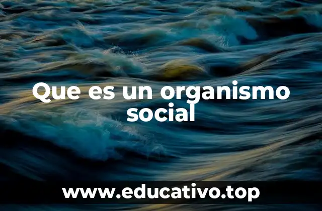 Que es un organismo social