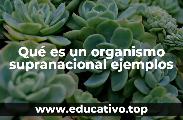 Qué es un organismo supranacional ejemplos