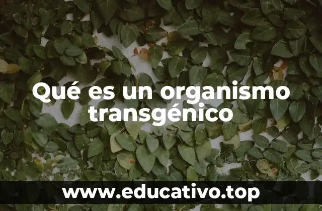Qué es un organismo transgénico