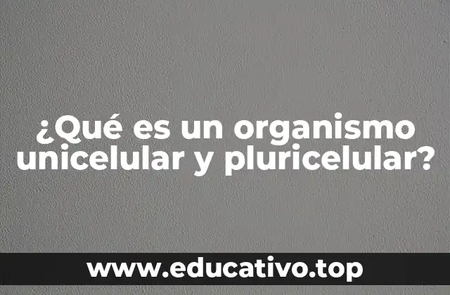 ¿Qué es un organismo unicelular y pluricelular?