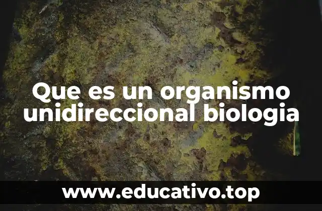 Que es un organismo unidireccional biologia