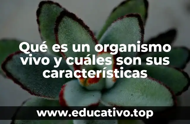 Qué es un organismo vivo y cuáles son sus características