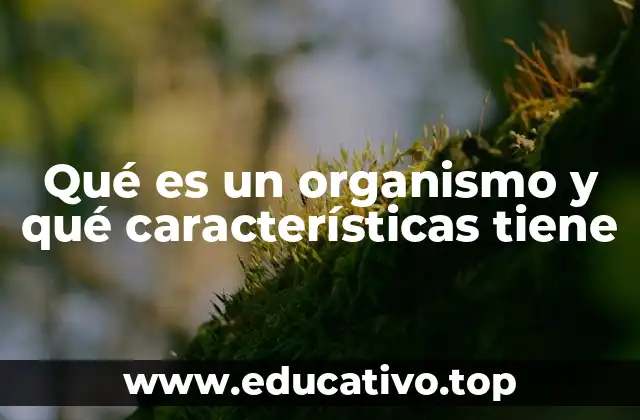 Qué es un organismo y qué características tiene