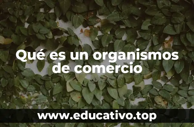 Qué es un organismos de comercio
