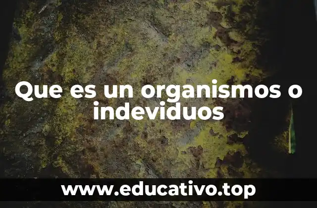 Que es un organismos o indeviduos