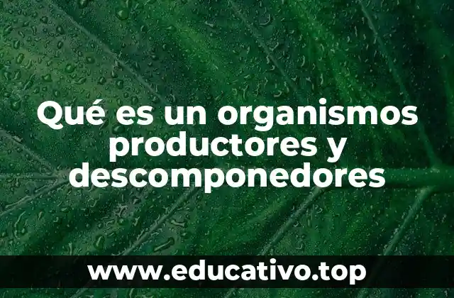 Qué es un organismos productores y descomponedores