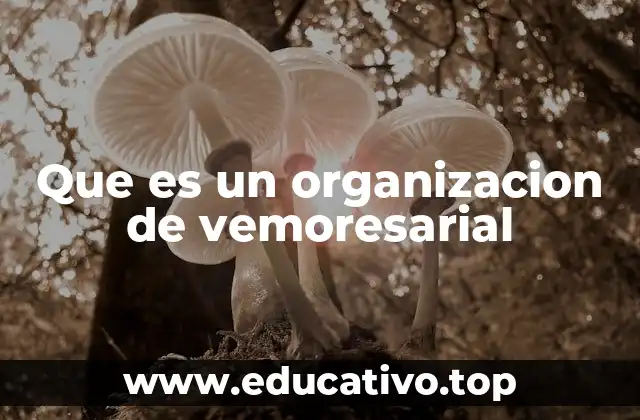 Que es un organizacion de vemoresarial