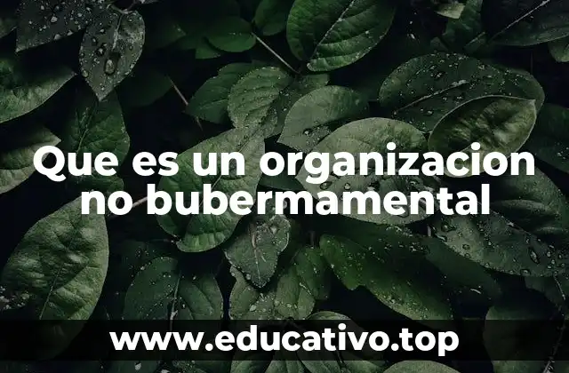 Que es un organizacion no bubermamental