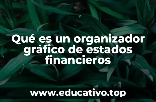 Qué es un organizador gráfico de estados financieros