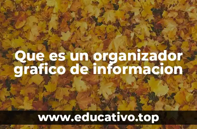 Que es un organizador grafico de informacion