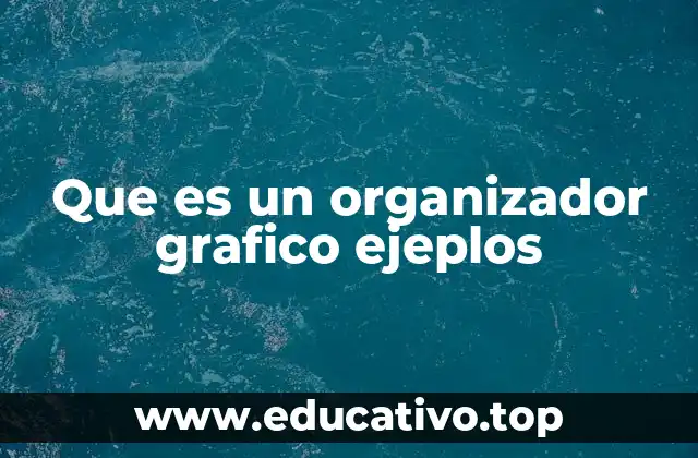 Que es un organizador grafico ejeplos