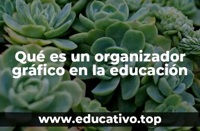 Qué es un organizador gráfico en la educación