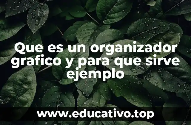 Que es un organizador grafico y para que sirve ejemplo