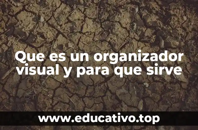 Que es un organizador visual y para que sirve
