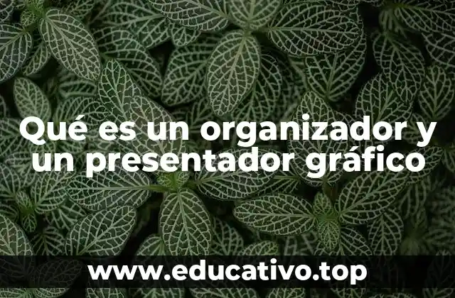 Qué es un organizador y un presentador gráfico