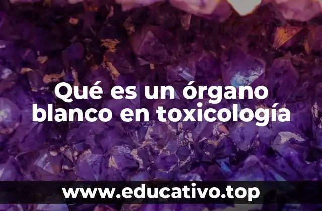 Qué es un órgano blanco en toxicología