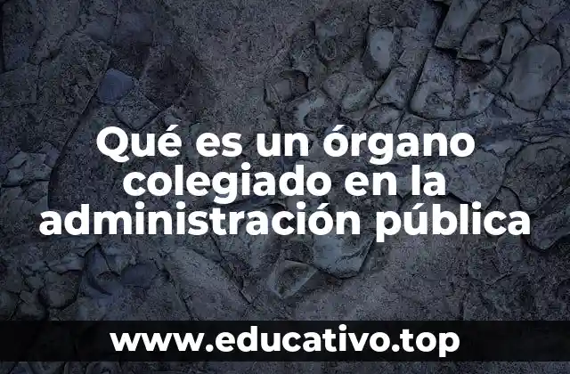 Qué es un órgano colegiado en la administración pública