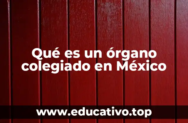 Qué es un órgano colegiado en México