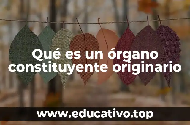 Qué es un órgano constituyente originario