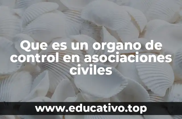La importancia del control interno en las asociaciones civiles
